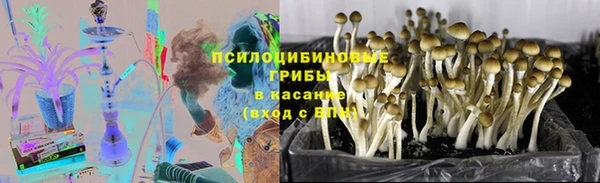 apvp Каменногорск