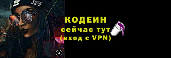 apvp Каменногорск