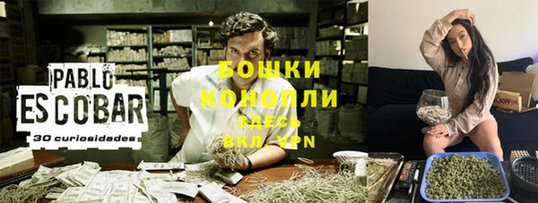 марки nbome Каменка