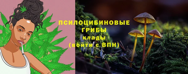 марки nbome Каменка
