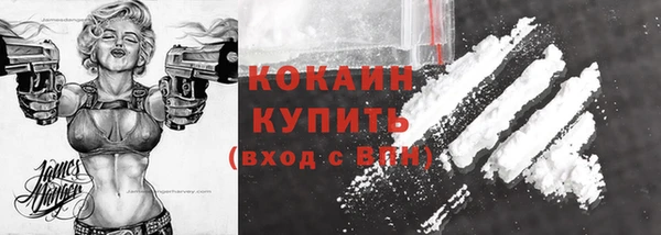 apvp Каменногорск