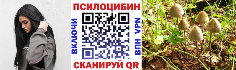 Псилоцибиновые грибы ЛСД  Купить  Мирный 